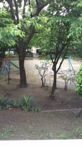 110524_0819 110524_0819~01.jpg