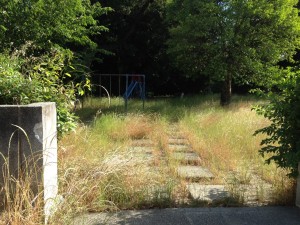 20130613_122820 20130613_122820.jpeg