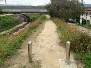 20130726_125202 20130726_125202.jpeg