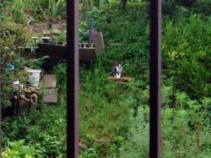 20130905_104435 20130905_104435.jpeg