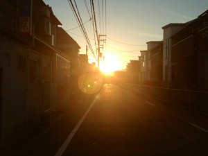 20131118_141935 20131118_141935.jpeg