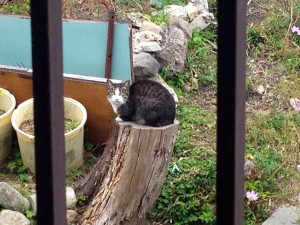 20131210_014827 20131210_014827.jpeg