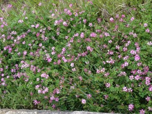 20140409_204621 20140409_204621.jpeg