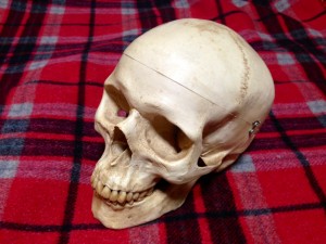 20140423_195228 20140423_195228.jpeg